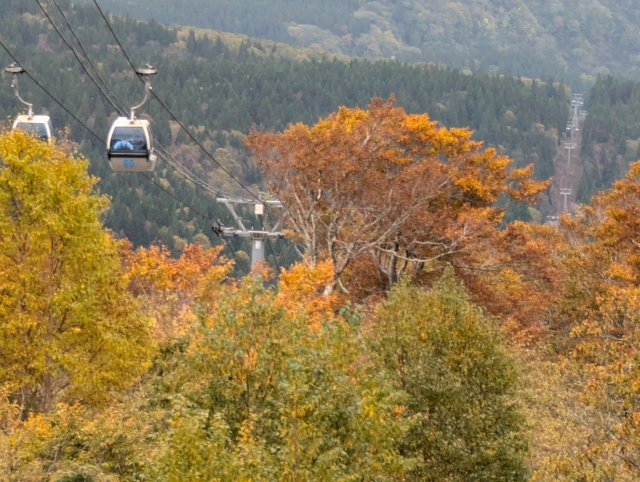 紅葉した山々